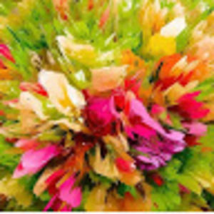 Meet your Posher, Evelynn